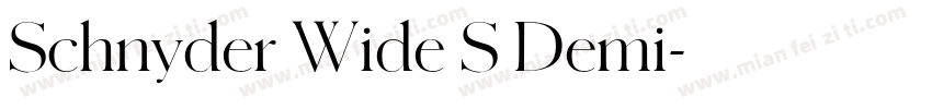 Schnyder Wide S Demi字体转换